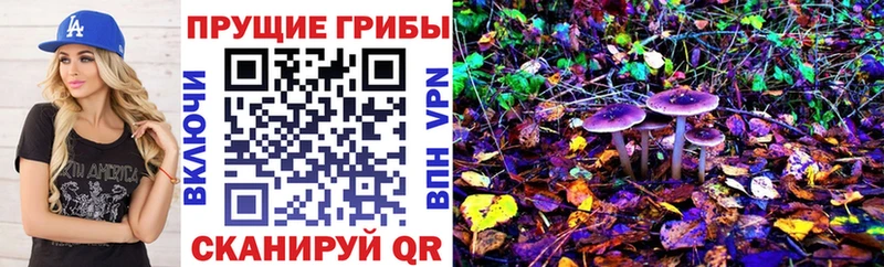 Галлюциногенные грибы мухоморы  ОМГ ОМГ зеркало  Городище 
